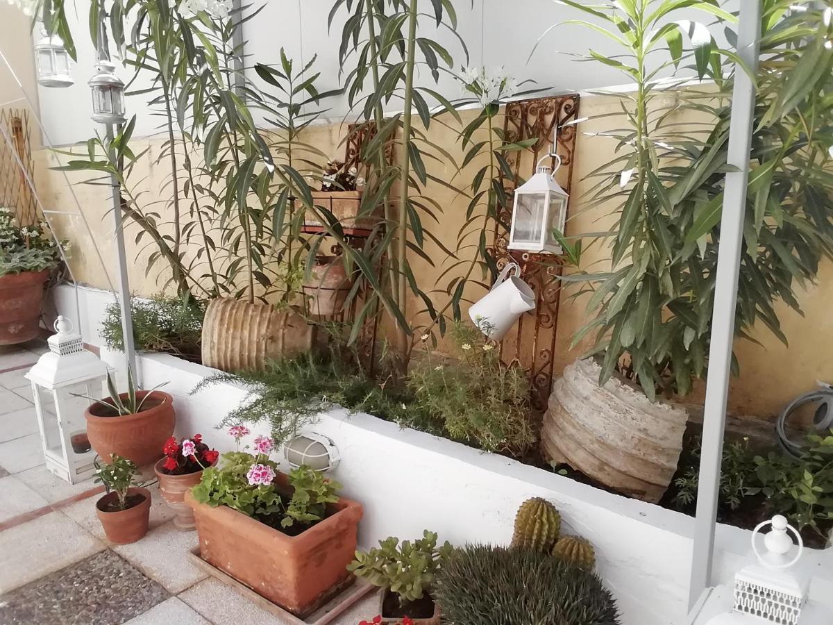 Amazing Semi-Basement Art Apartment Easy Walk To Nafplio Centre Buitenkant foto